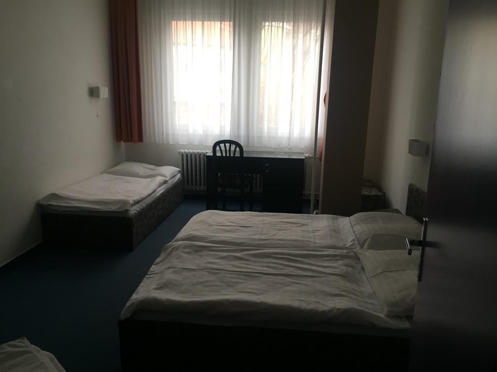 Hotel U Tri Lvu 체스케부데요비체 외부 사진