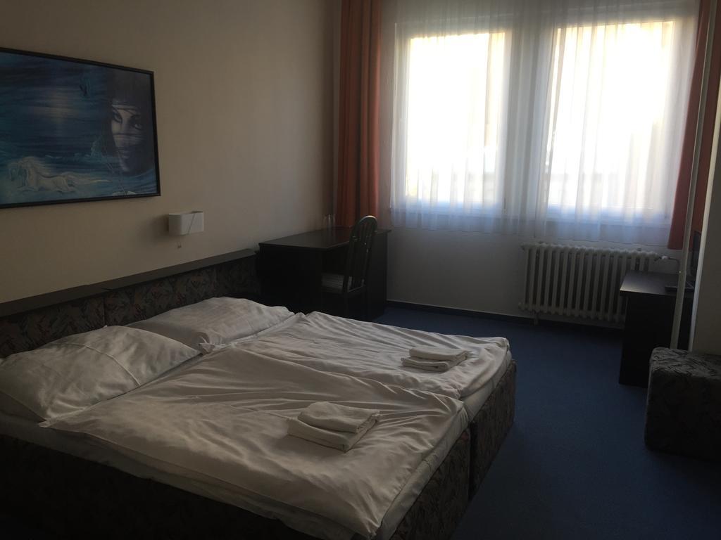 Hotel U Tri Lvu 체스케부데요비체 외부 사진